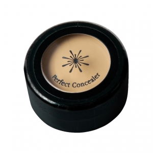 missha-the-style-perfect-concealer-light-beige